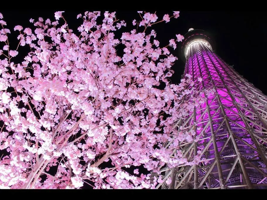 Apartment Rakuna Inn 河 Oshiage Tokyo
